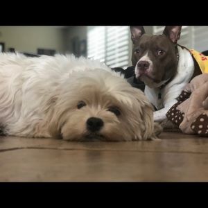 Meet your Posher, Miranda